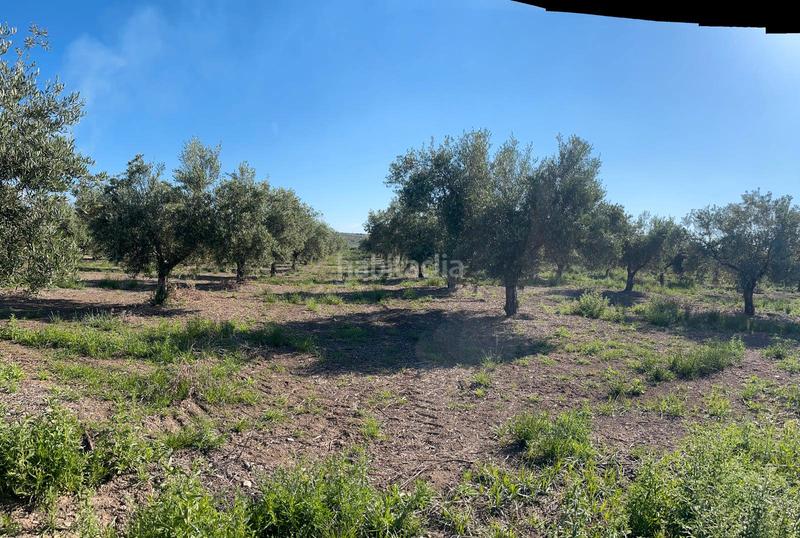 Grundstück in Cordoba, Spain 65000m², Nr. 161543