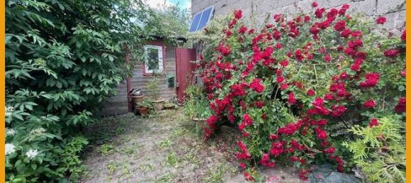 3 bedrooms House in Vogelsbergkreis, Germany No. 105488 9