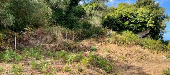 4012 m² terreno en venta en Corfu, Central Corfu and Diapontian Islands, Corfu, Ionian Islands, Peloponnese, Western Greece and the Ionian, Greece № 95550 6