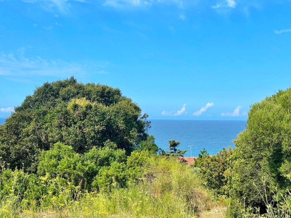 4012 m² terreno en venta en Corfu, Central Corfu and Diapontian Islands, Corfu, Ionian Islands, Peloponnese, Western Greece and the Ionian, Greece № 95550
