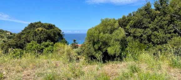 4012 m² terreno en venta en Corfu, Central Corfu and Diapontian Islands, Corfu, Ionian Islands, Peloponnese, Western Greece and the Ionian, Greece № 95550 2