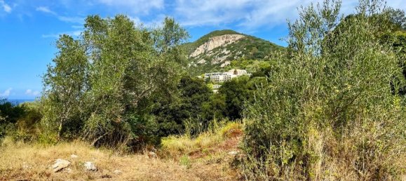 4012 m² terreno en venta en Corfu, Central Corfu and Diapontian Islands, Corfu, Ionian Islands, Peloponnese, Western Greece and the Ionian, Greece № 95550 10