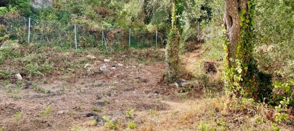 4012 m² terreno en venta en Corfu, Central Corfu and Diapontian Islands, Corfu, Ionian Islands, Peloponnese, Western Greece and the Ionian, Greece № 95550 4