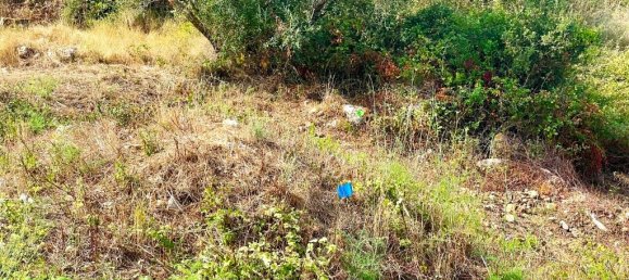 4012 m² terreno en venta en Corfu, Central Corfu and Diapontian Islands, Corfu, Ionian Islands, Peloponnese, Western Greece and the Ionian, Greece № 95550 8