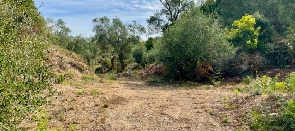 4012 m² terreno en venta en Corfu, Central Corfu and Diapontian Islands, Corfu, Ionian Islands, Peloponnese, Western Greece and the Ionian, Greece № 95550 9