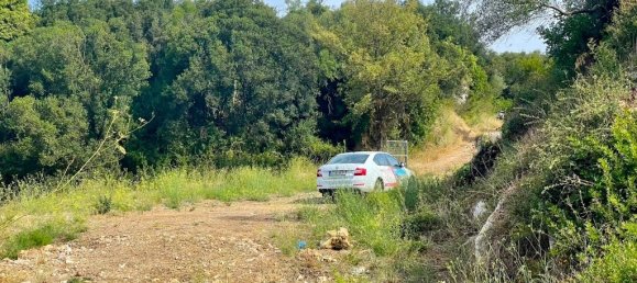 4012 m² terreno en venta en Corfu, Central Corfu and Diapontian Islands, Corfu, Ionian Islands, Peloponnese, Western Greece and the Ionian, Greece № 95550 11
