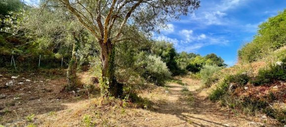 4012 m² terreno en venta en Corfu, Central Corfu and Diapontian Islands, Corfu, Ionian Islands, Peloponnese, Western Greece and the Ionian, Greece № 95550 5