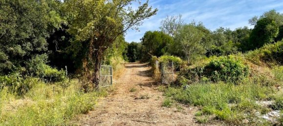 4012 m² terreno en venta en Corfu, Central Corfu and Diapontian Islands, Corfu, Ionian Islands, Peloponnese, Western Greece and the Ionian, Greece № 95550 12