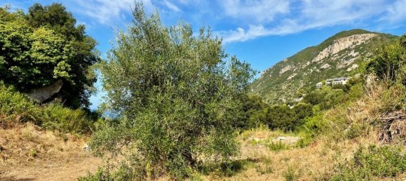 4012 m² terreno en venta en Corfu, Central Corfu and Diapontian Islands, Corfu, Ionian Islands, Peloponnese, Western Greece and the Ionian, Greece № 95550 7