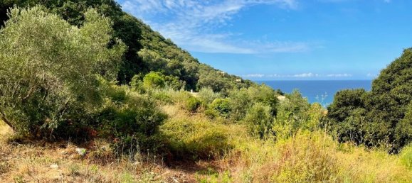 4012 m² terreno en venta en Corfu, Central Corfu and Diapontian Islands, Corfu, Ionian Islands, Peloponnese, Western Greece and the Ionian, Greece № 95550 14