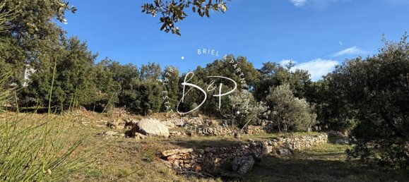 1425m² Land in Lorgues, France No. 353217 2