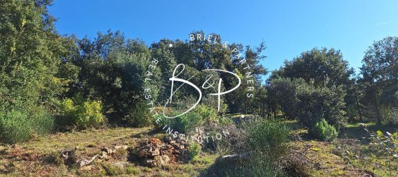 1425m² Land in Lorgues, France No. 353217 8