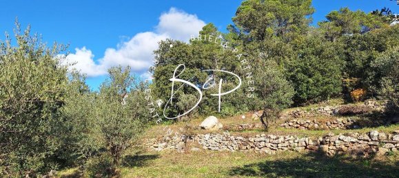 1425m² Land in Lorgues, France No. 353217 7