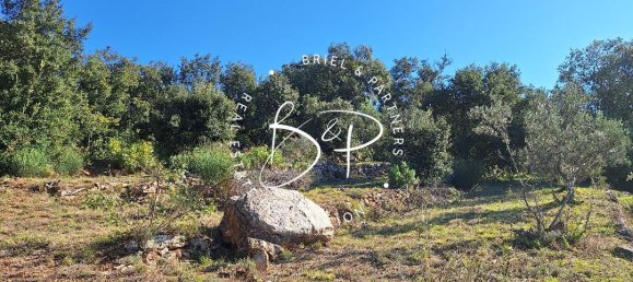 1425m² Land in Lorgues, France No. 353217 6