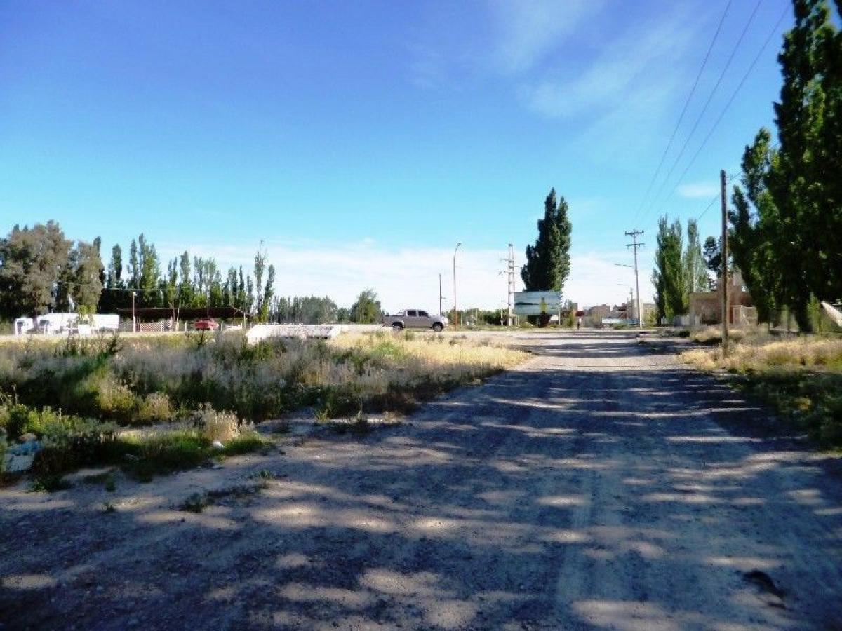 Terrain à Rio Negro, Argentina No. 36273