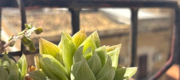 Ático de 4 dormitorios en Palermo, Italy No. 379095 4