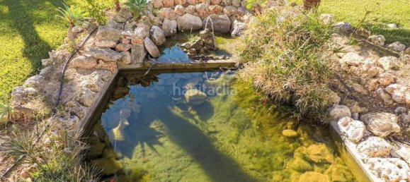 1 chambre Bungalow à Torrevieja, Spain No. 95074 10