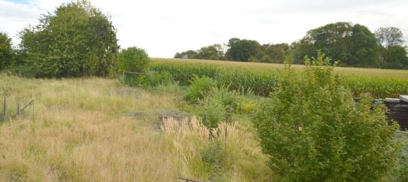 3 chambres Maison à Rhein-Sieg, Germany No. 357094 10