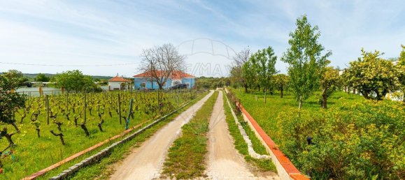 4 bedrooms House in Evora, Portugal No. 54376 35