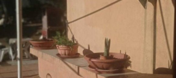 5 bedrooms Villa in Rosignano Marittimo, Italy No. 77594 42