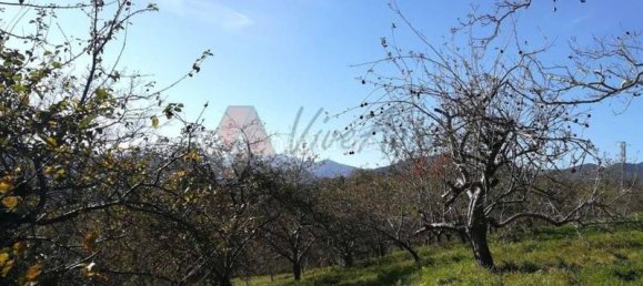 4 bedrooms Townhouse in Pilona, Spain No. 140017 3