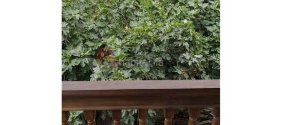 4 bedrooms Townhouse in Pilona, Spain No. 140017 38