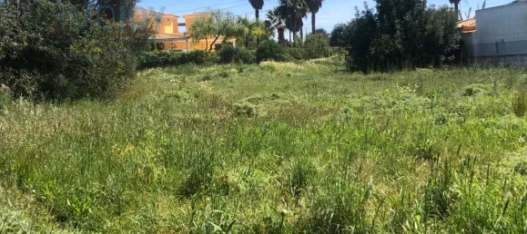  Land in Almancil, Portugal No. 82007 19