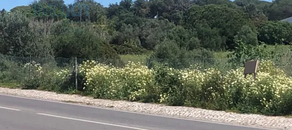  Land in Almancil, Portugal No. 82007 13