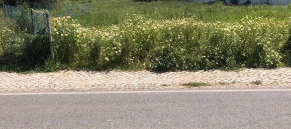  Land in Almancil, Portugal No. 82007 17