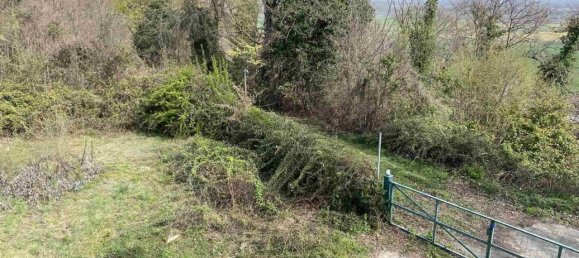 5 rooms Villa in Mottalciata, Italy No. 27618 5