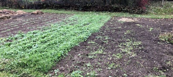 Terreno em Eteimbes, France 700 m² N.º 94153 2