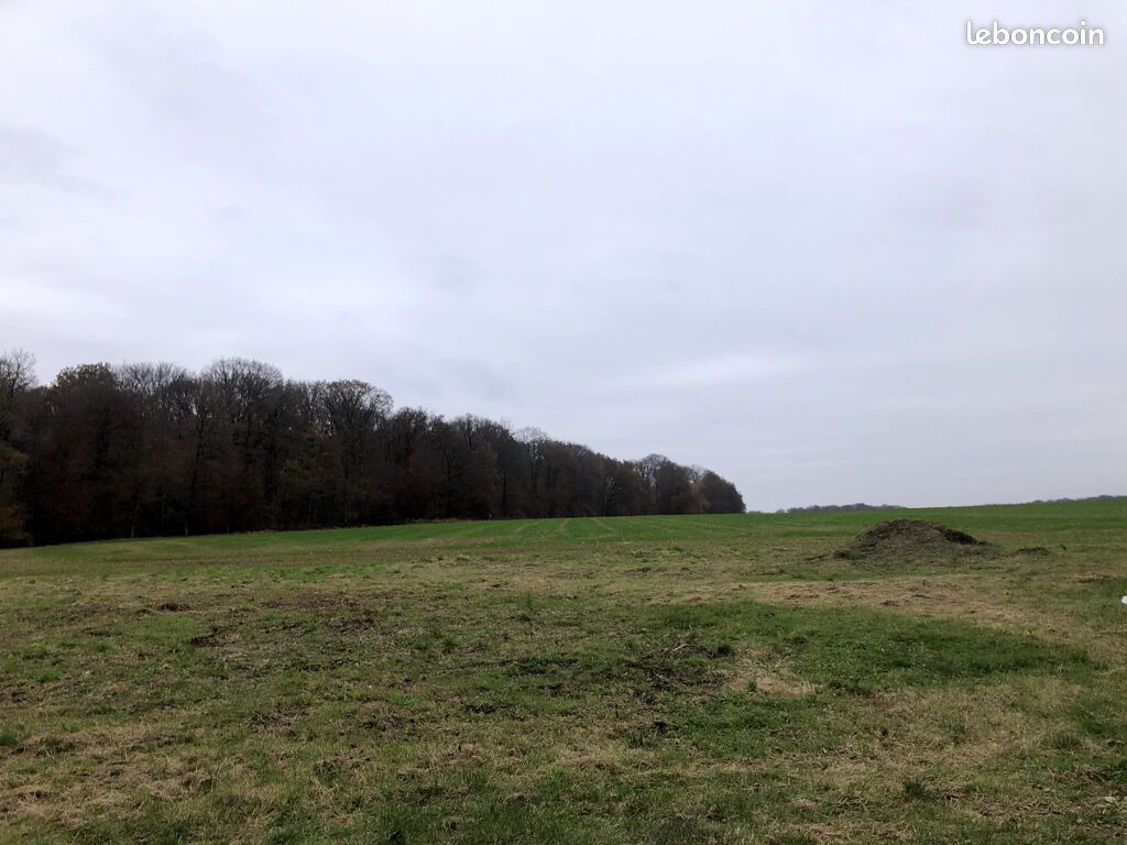 Terreno em Eteimbes, France 700 m² N.º 94153