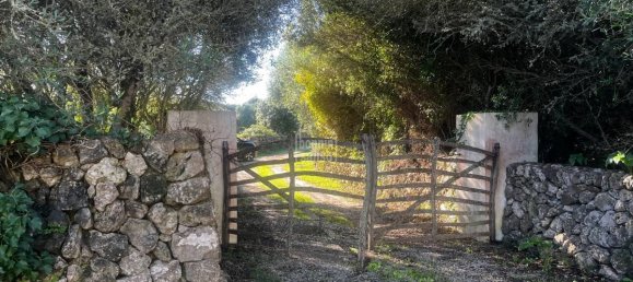 5 bedrooms Finca in Alaior, Spain No. 5242 3