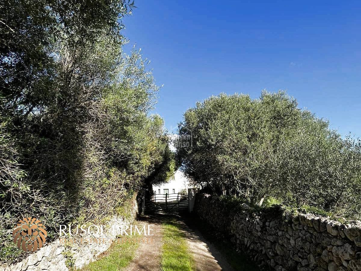 5 bedrooms Finca in Alaior, Spain No. 5242