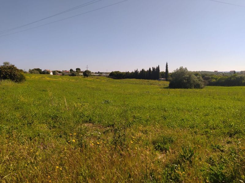 Terreno en Tomar, Portugal 13720 m² No. 79608