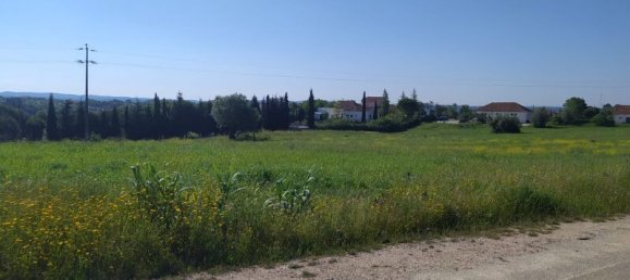 Terreno en Tomar, Portugal 13720 m² No. 79608 4