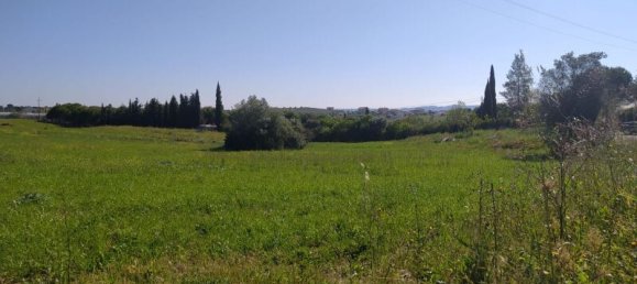 Terreno en Tomar, Portugal 13720 m² No. 79608 7