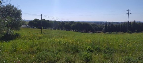 Terreno en Tomar, Portugal 13720 m² No. 79608 6