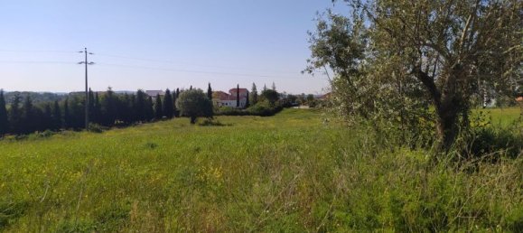 Terreno en Tomar, Portugal 13720 m² No. 79608 3