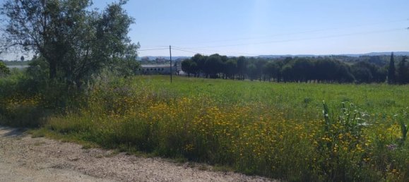 Terreno en Tomar, Portugal 13720 m² No. 79608 5