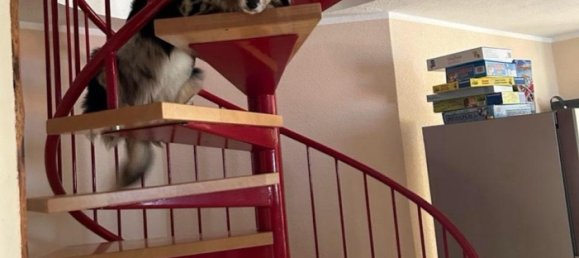 2 غرف نوم عقار تجاري في Salzlandkreis, Germany رقم 219161 16