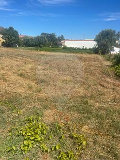 Terreno en Tondela, Portugal No. 72447