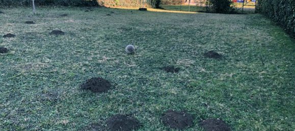 2 bedrooms Apartment in Varese, Italy No. 363529 17