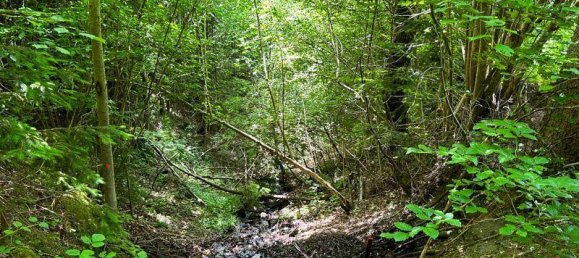 4 bedrooms House in Ardning, Austria No. 98230 11