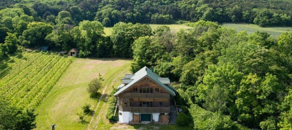 134m² Land in Gumpoldskirchen, Austria No. 155543 5