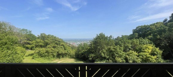 134m² Land in Gumpoldskirchen, Austria No. 155543 7