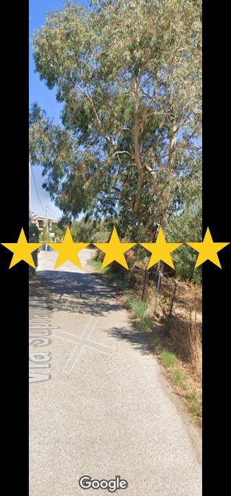 5 bedrooms Apartment in San Teodoro, Italy No. 367401