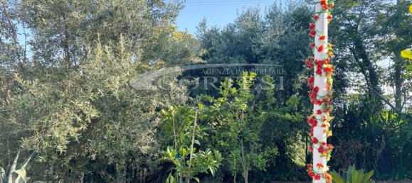 3 bedrooms Villa in Mondavio, Italy No. 283358 6