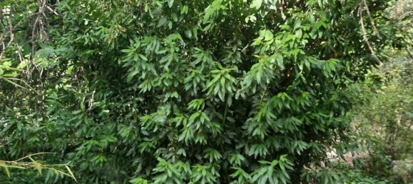 3 bedrooms House in Jaen, Spain No. 150522 4