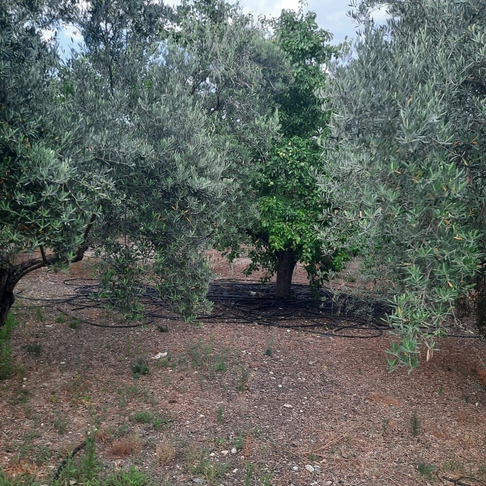 3 bedrooms House in Jaen, Spain No. 150522